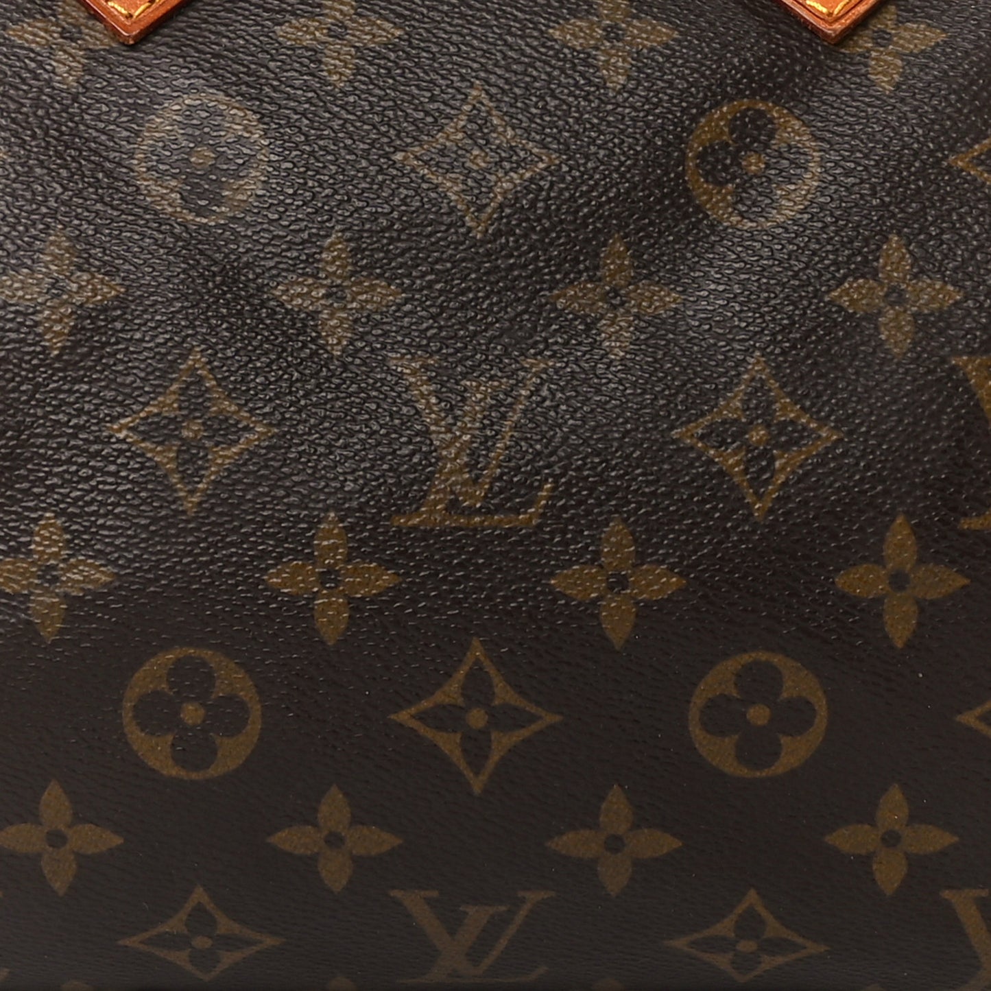 Monogram Speedy 25