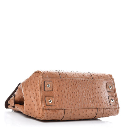Mulberry Ostrich Bayswater Oak 4 of 13