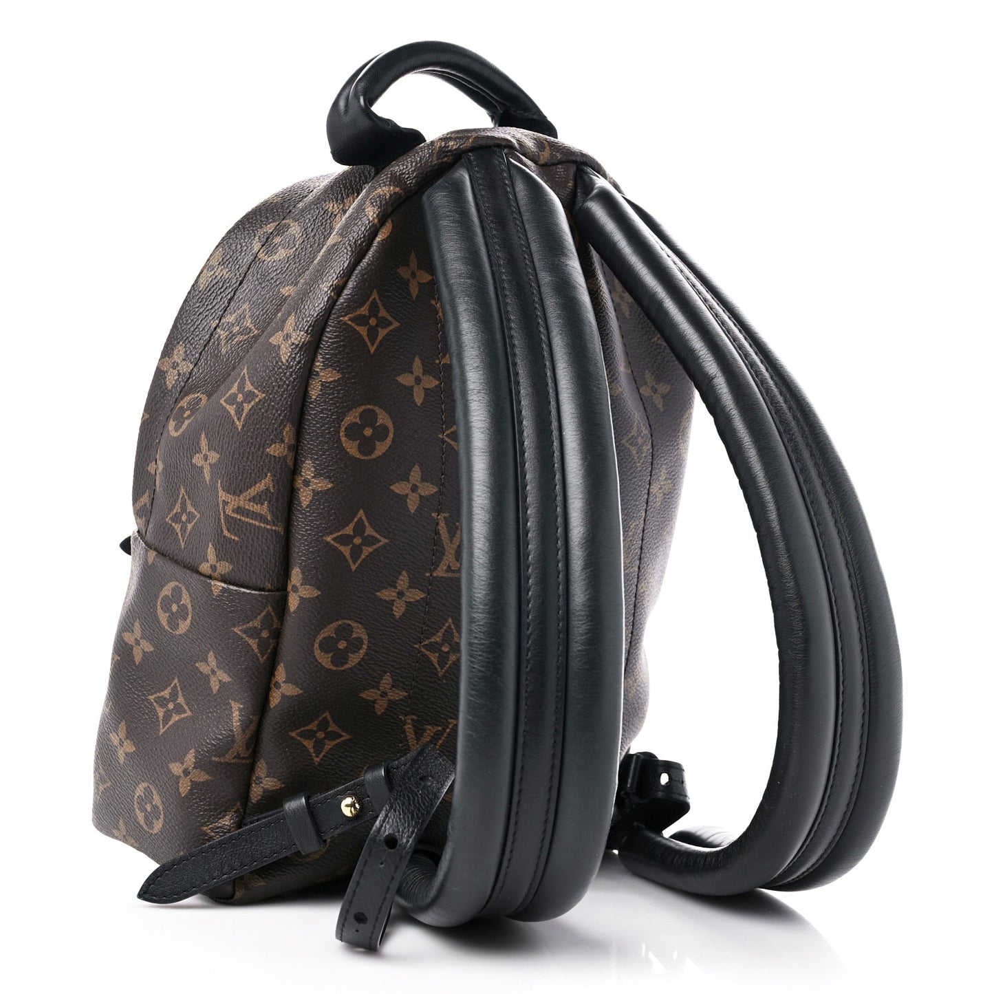 Monogram Palm Springs Backpack PM
