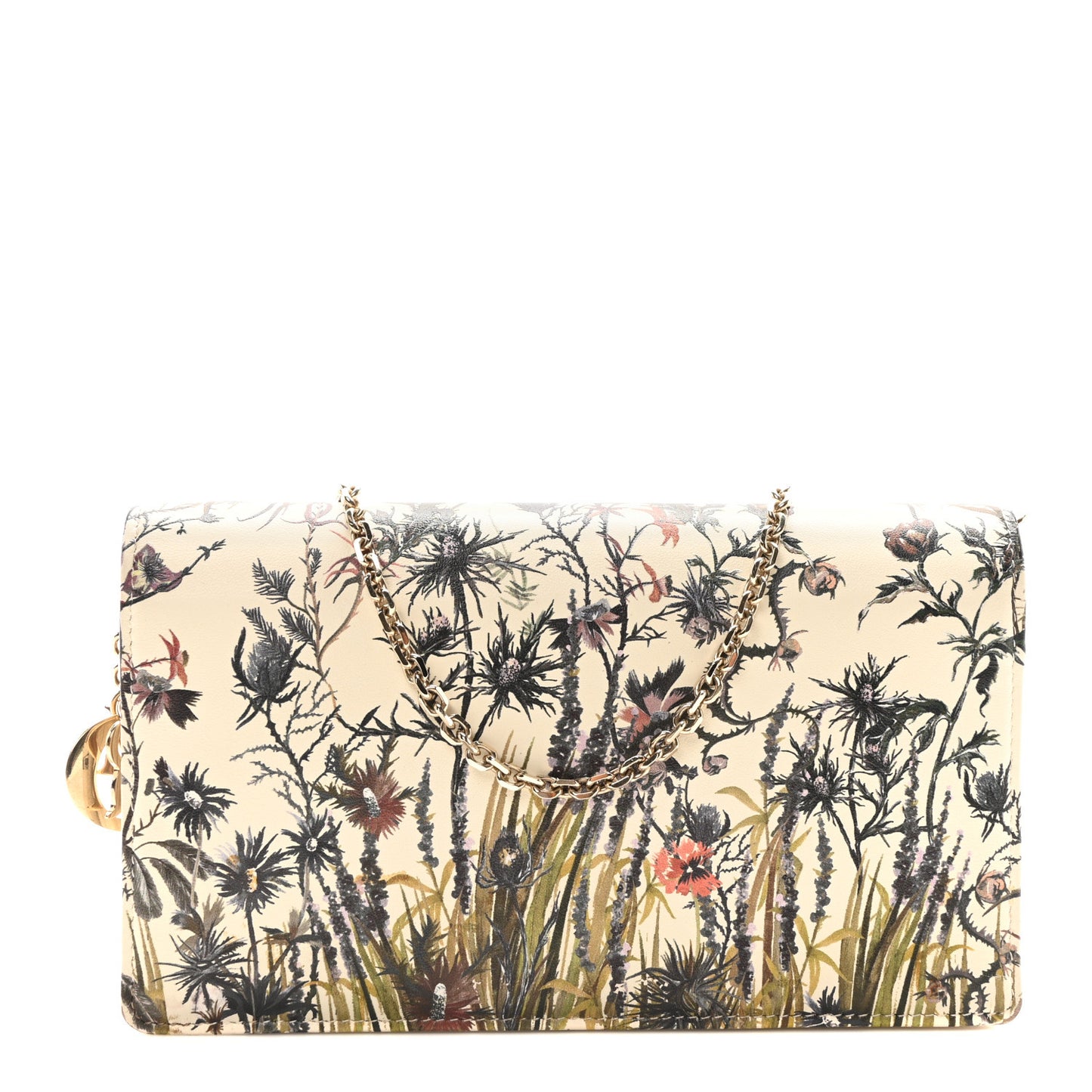 Calfskin Floral Print Lady Dior Pouch Latte Multi