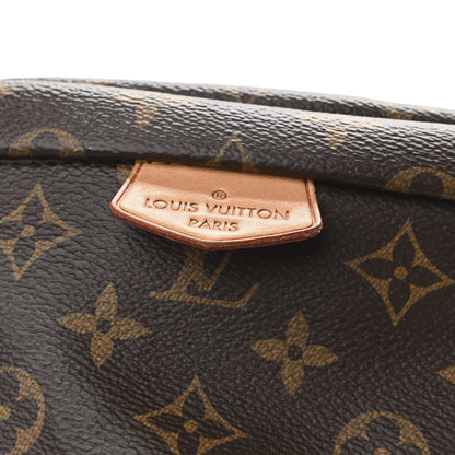Louis Vuitton Monogram Bumbag 11 of 14