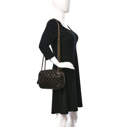 Chanel Lambskin Quilted Camera Case Brown 2 of 12