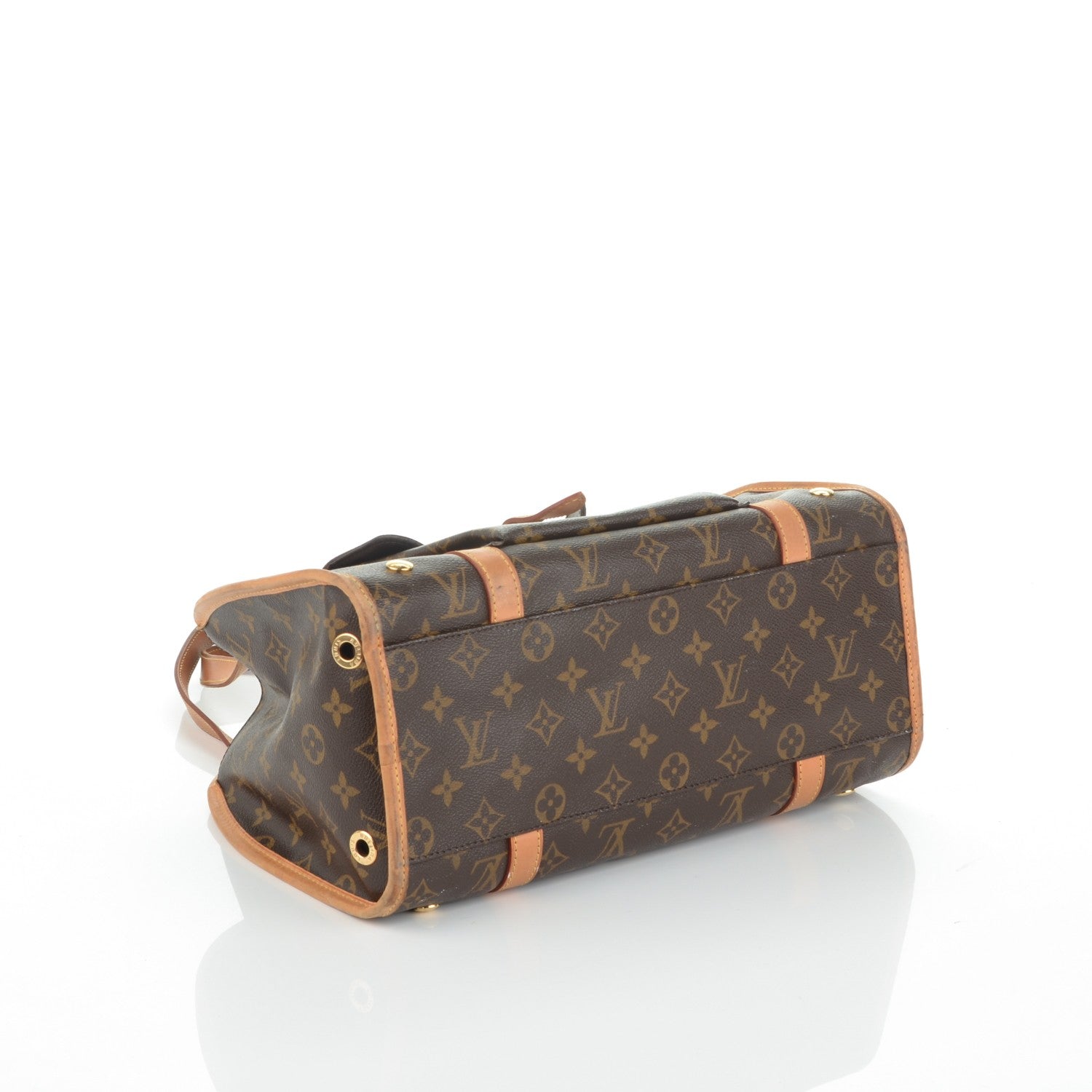 Louis Vuitton Monogram Baxter PM Dog Pet Carrier 4 of 10