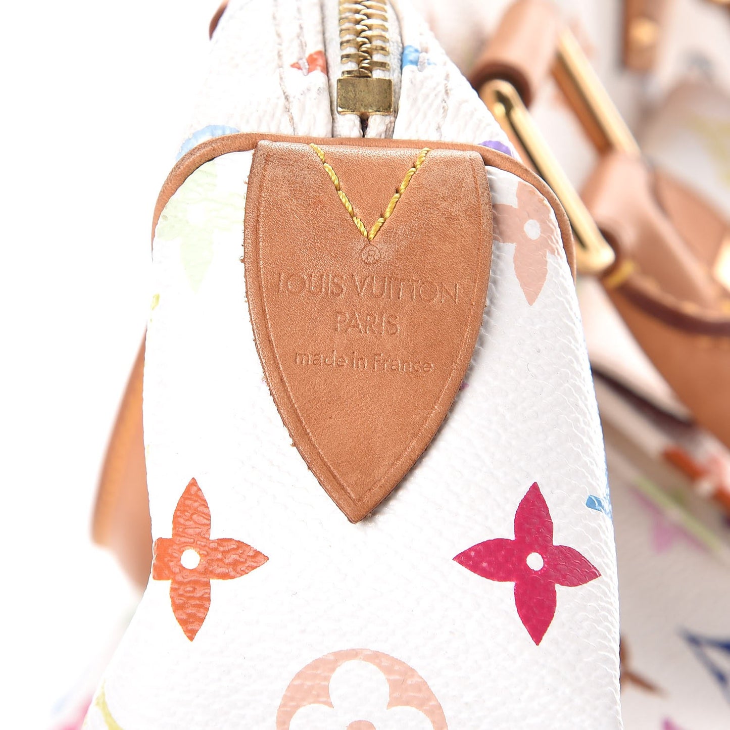 Monogram Multicolor Speedy 30 White