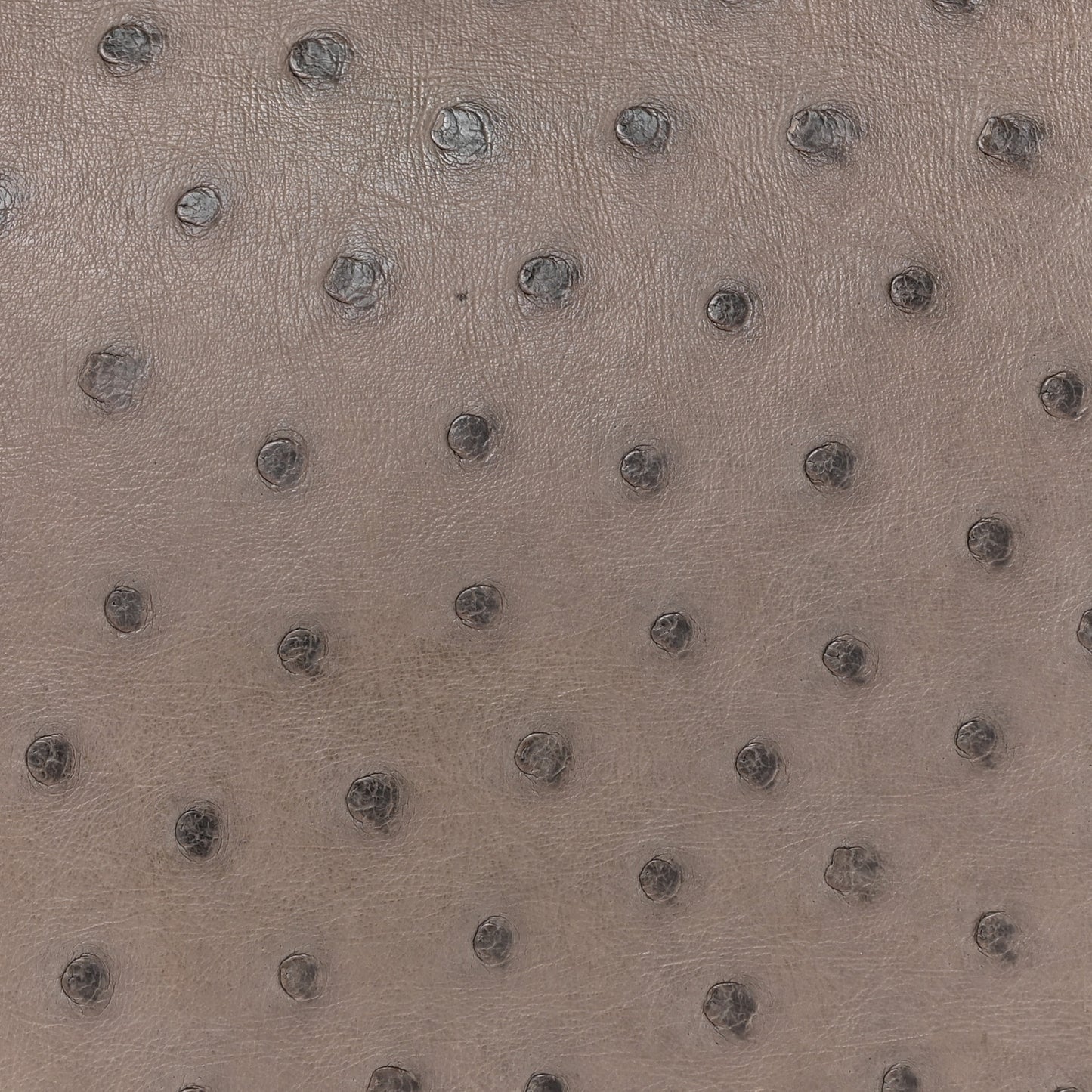 Ostrich Birkin 30 Mousse