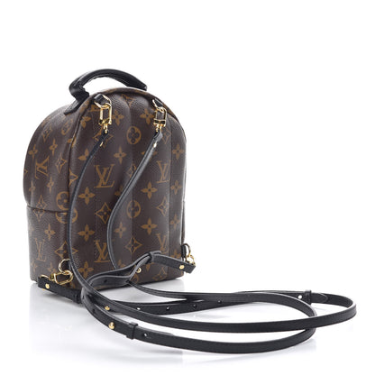 Louis Vuitton Monogram Palm Springs Backpack Mini 3 of 10