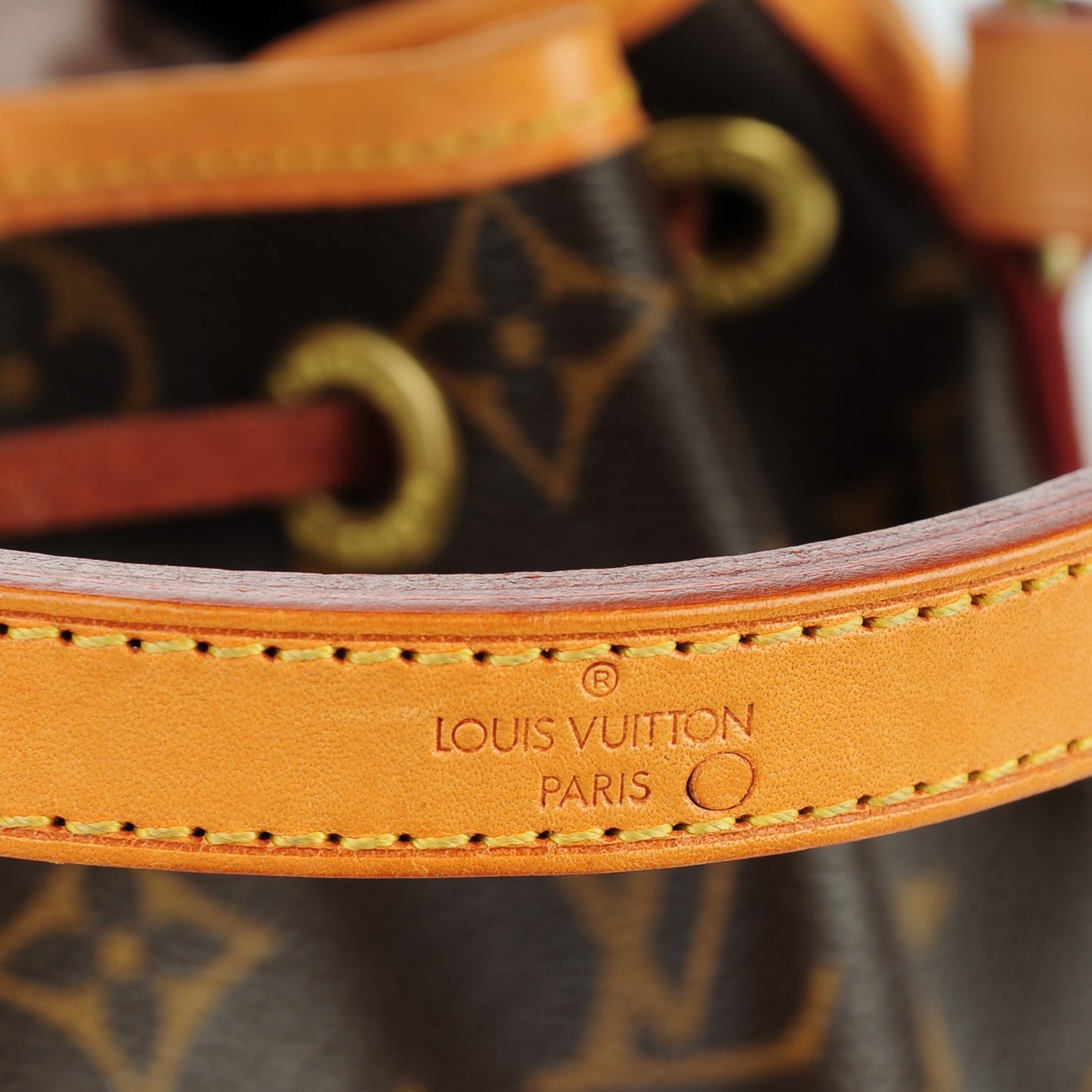Monogram Mini Noe