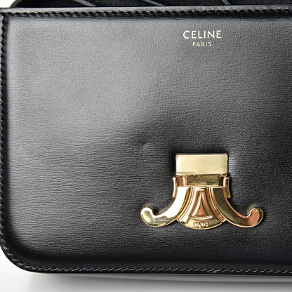 Celine Shiny Calfskin Nano Triomphe Black 11 of 11