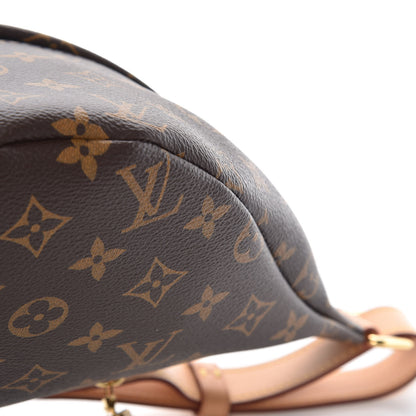 Louis Vuitton Monogram Bumbag 8 of 10