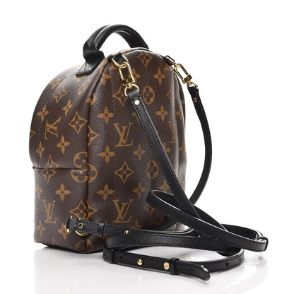 Louis Vuitton Monogram Palm Springs Backpack Mini 3 of 6