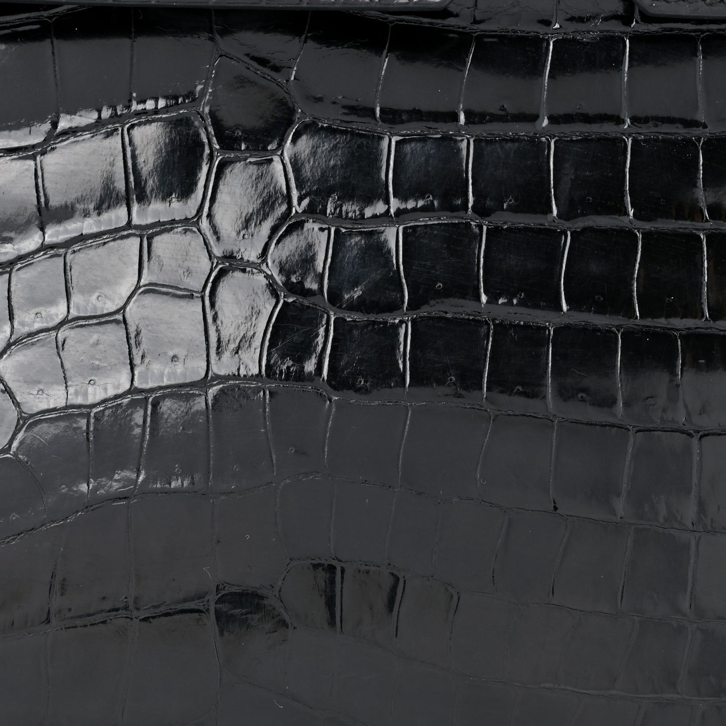 Shiny Porosus Crocodile Birkin 30 Black