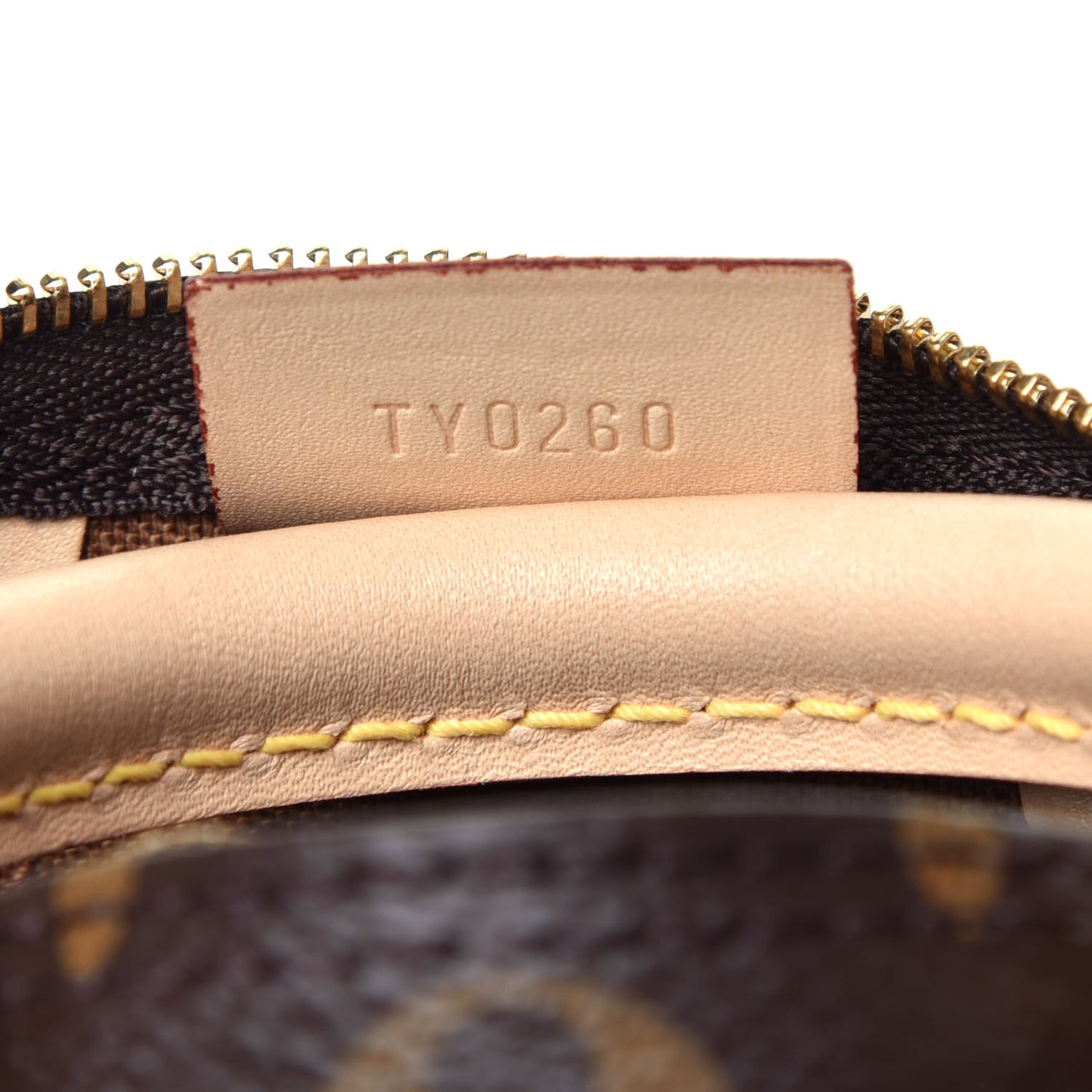 Monogram Nano Speedy