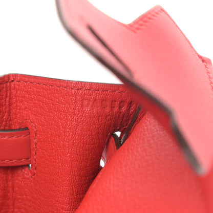 Hermes Veau Jonathan Birkin 25 Rouge De Coeur 6 of 9