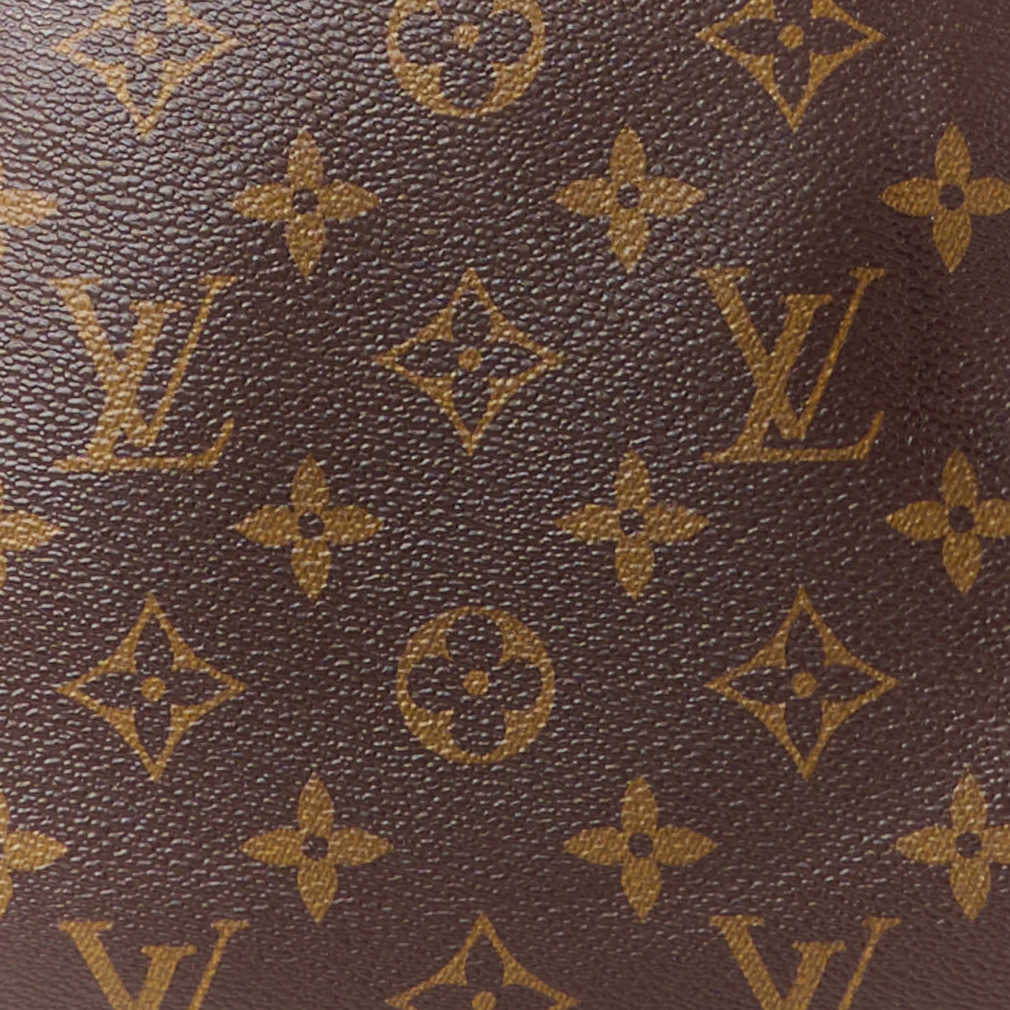 Monogram Pallas Black