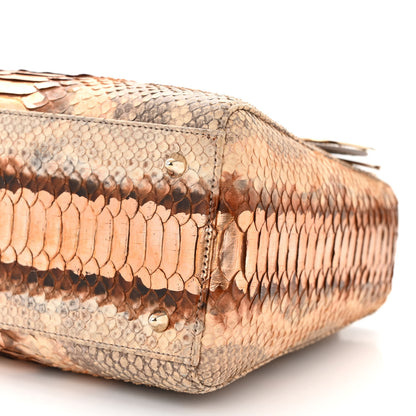 Christian Dior Metallic Snakeskin Medium Lady Dior Beige Gold 10 of 10