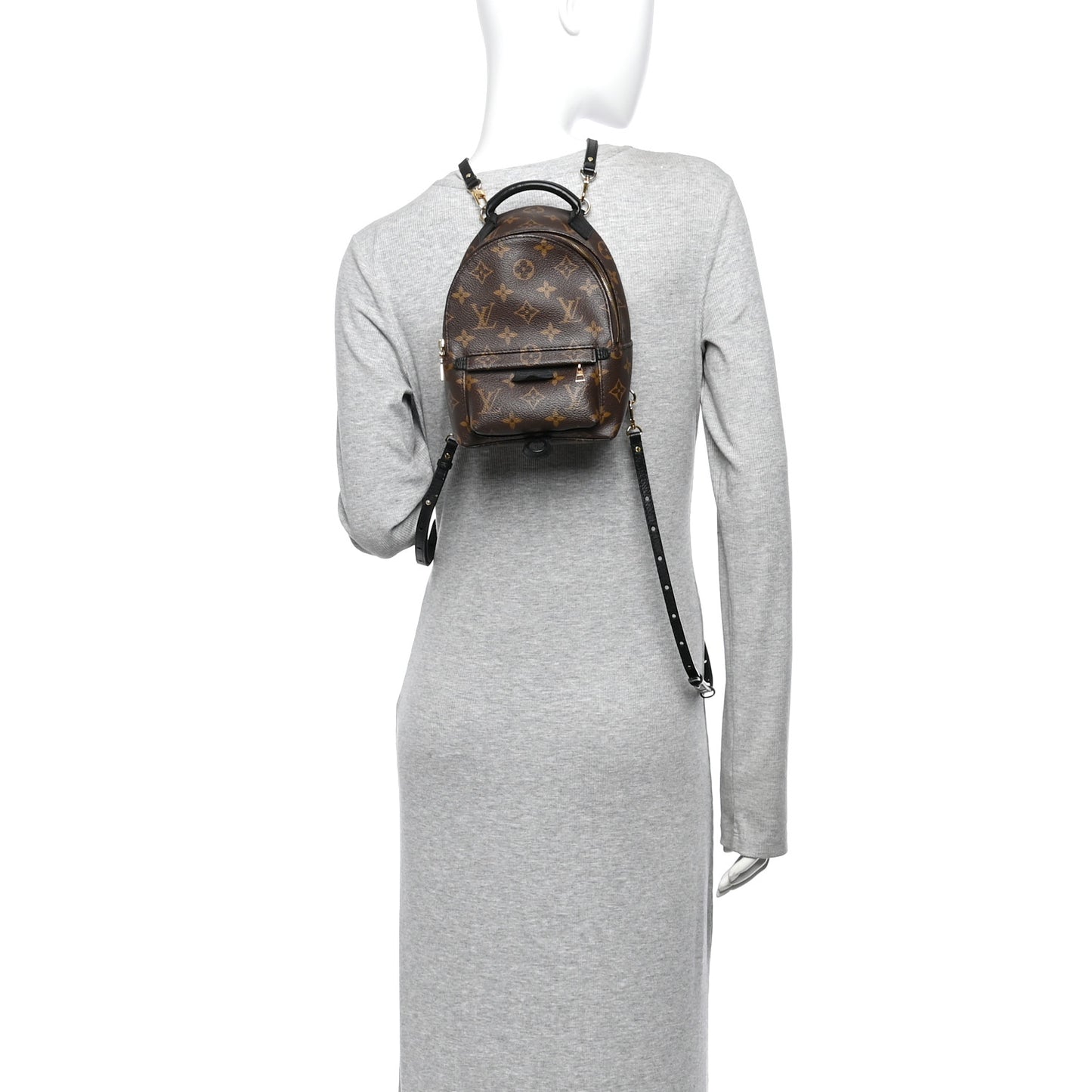 Monogram Palm Springs Backpack Mini