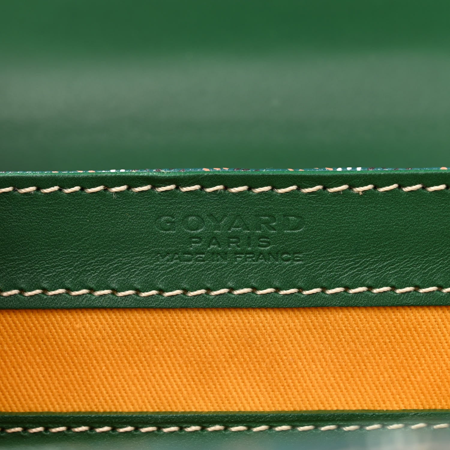 Goyard Goyardine Saigon PM Green 6 of 10