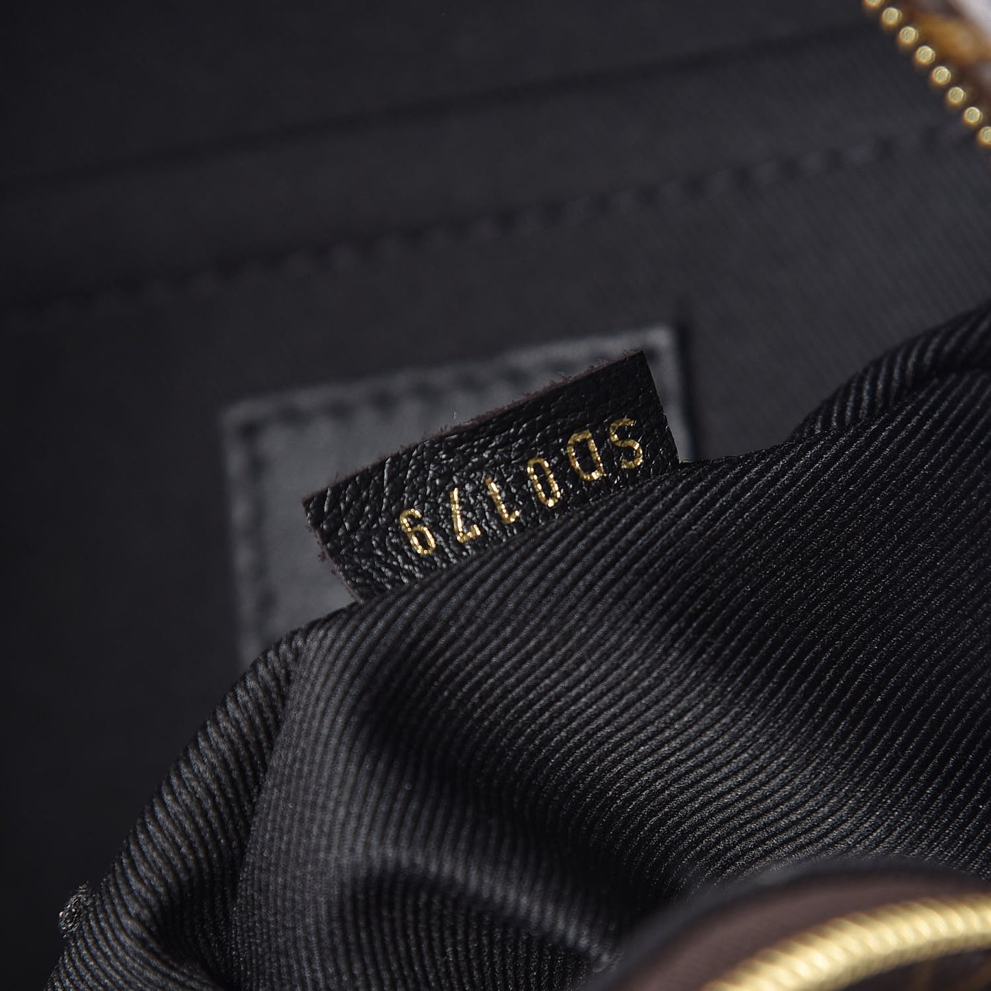 Monogram Palm Springs Backpack Mini