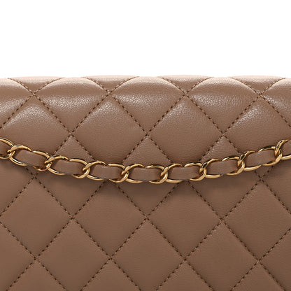 Chanel Sheepskin Quilted Vintage Mademoiselle Flap Beige 8 of 11