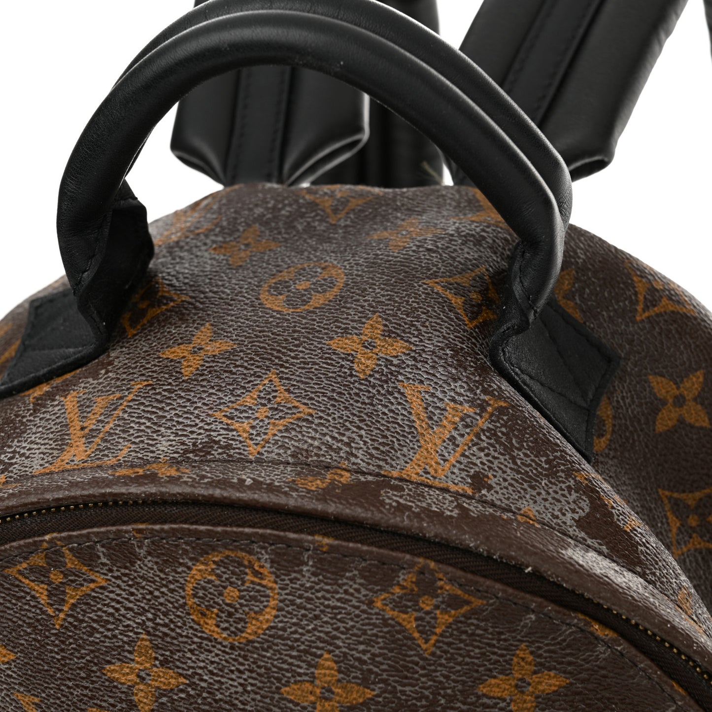 Monogram Palm Springs Backpack MM