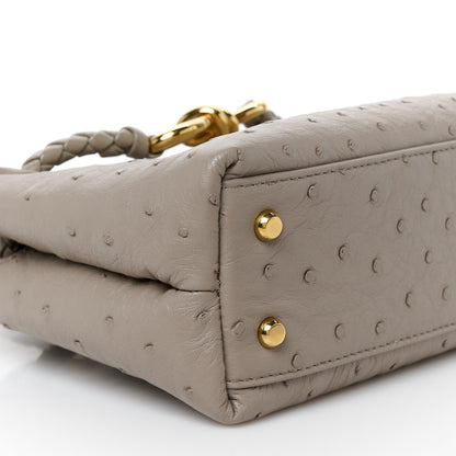 Bottega Veneta Ostrich Mini Andiamo Shoulder Bag Limestone 9 of 10