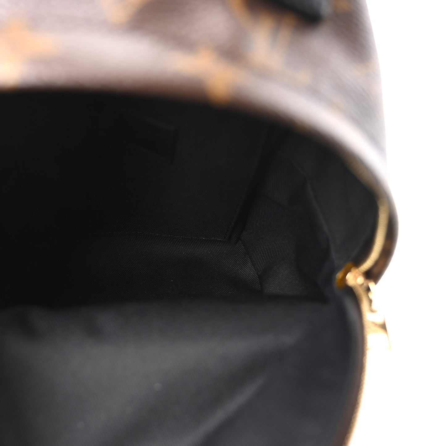 Monogram Palm Springs Backpack Mini