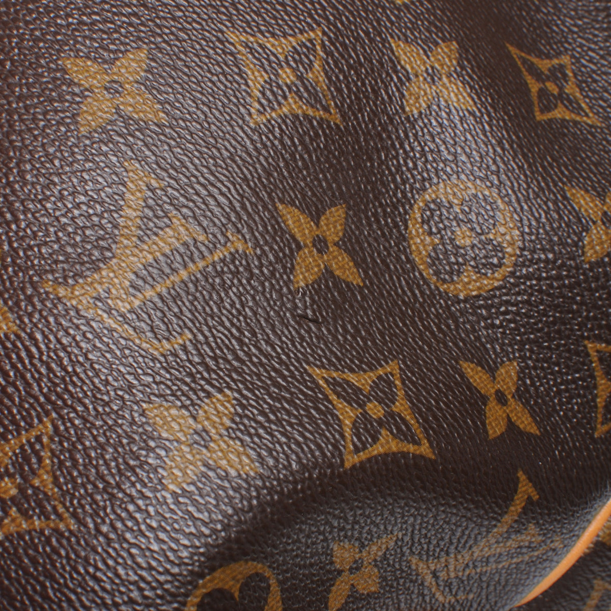 Monogram Delightful MM