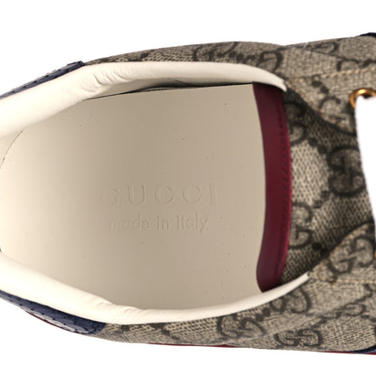 Gucci GG Supreme Monogram Ayers Mens New Ace Low-Top Sneaker 12 Blue Red 8 of 11