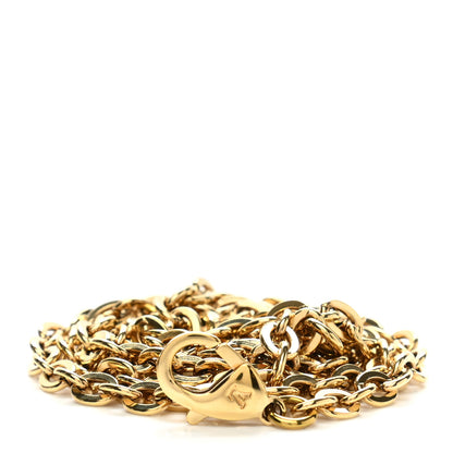 Louis Vuitton Felicie Chain Long Shoulder Strap 1 of 3