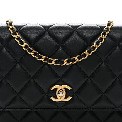 Chanel Lambskin Quilted CC Pearl Crush Wallet on Chain WOC Black 9 of 12