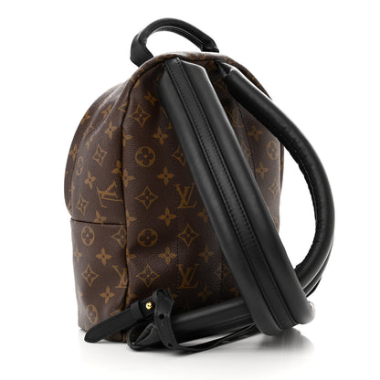 Louis Vuitton Monogram Palm Springs Backpack PM 3 of 12