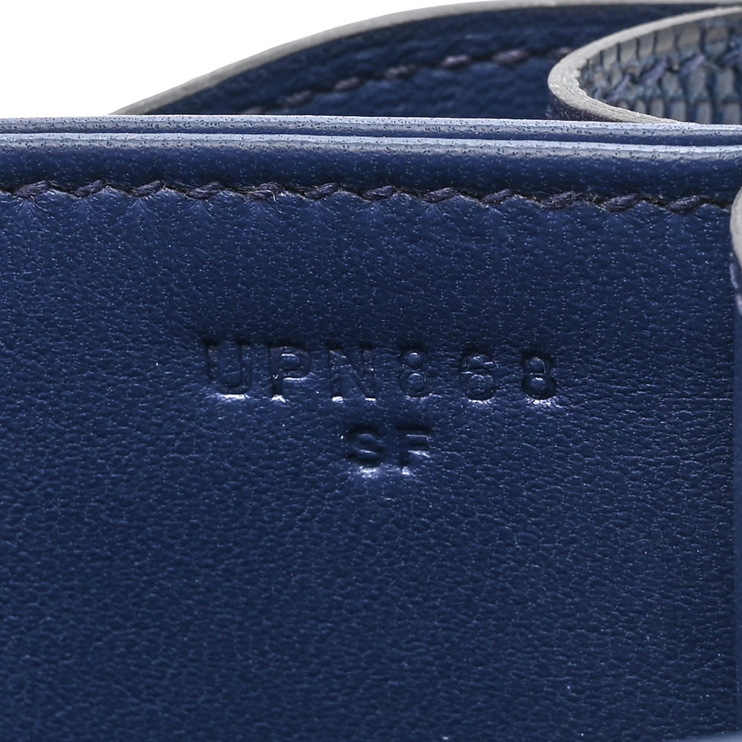 Niloticus Lizard Aizome Constance 18 Tomekon