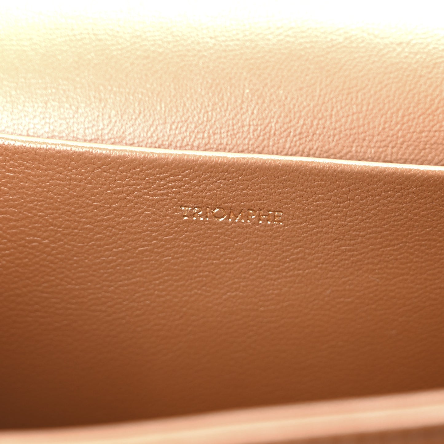 Canvas Calfskin Triomphe Medium Triomphe Bag Natural Tan