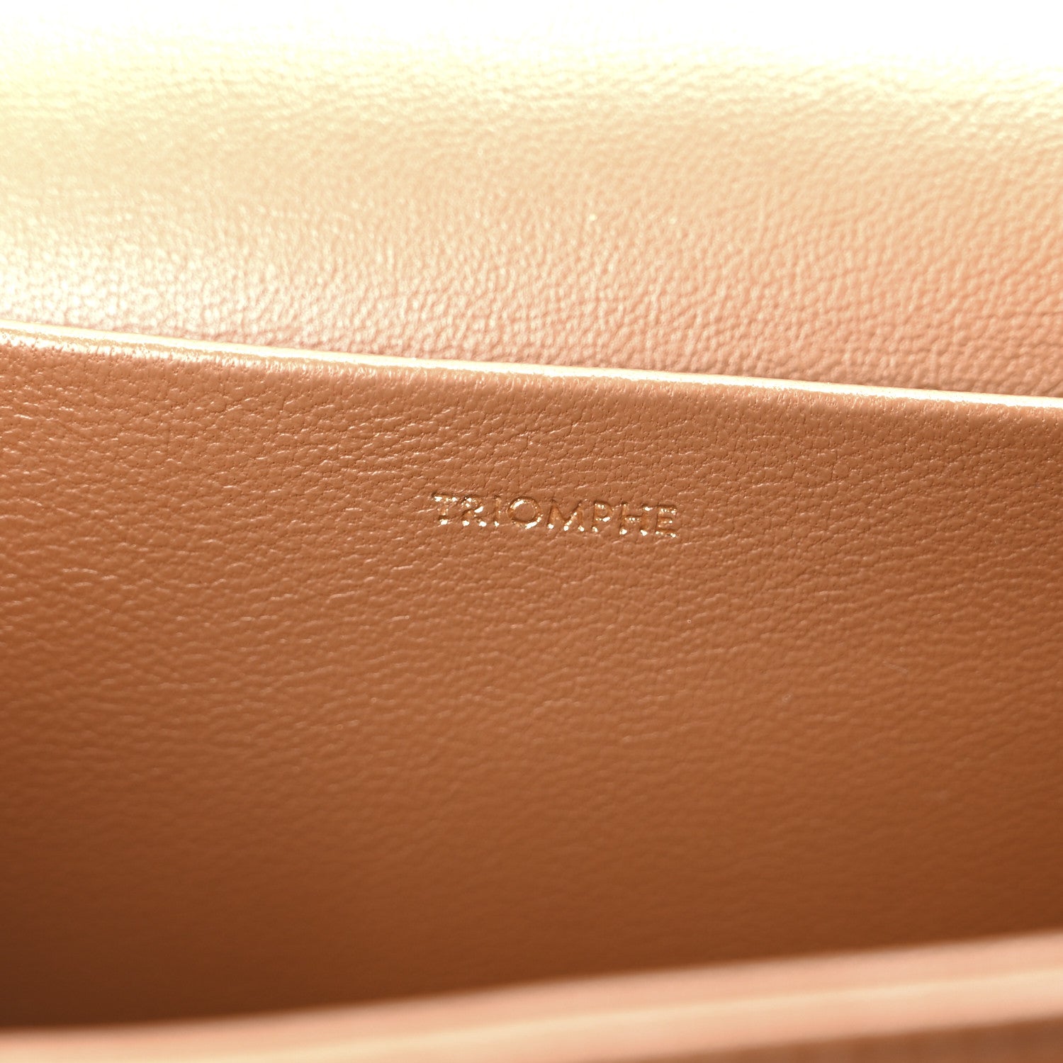 Celine Canvas Calfskin Triomphe Medium Triomphe Bag Natural Tan 6 of 10