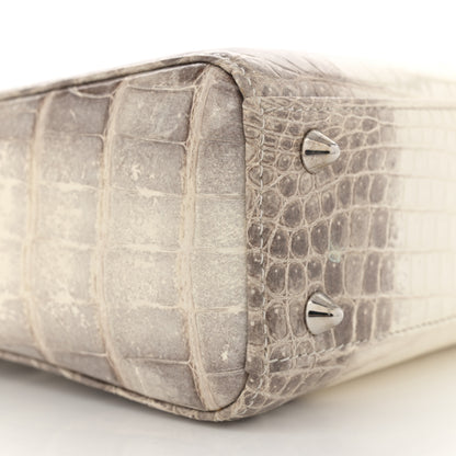 Christian Dior Niloticus Crocodile Himalaya Crystal Small Lady Dior White 9 of 10