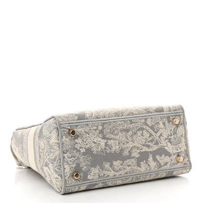 Christian Dior Canvas Toile De Jouy Reverse Embroidered Medium Lady D-Lite Gray 4 of 11