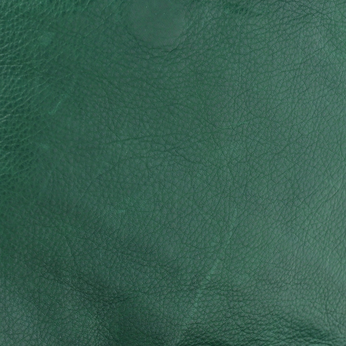 Calfskin Trophe Twist Pocket Shoulder Bag Emerald