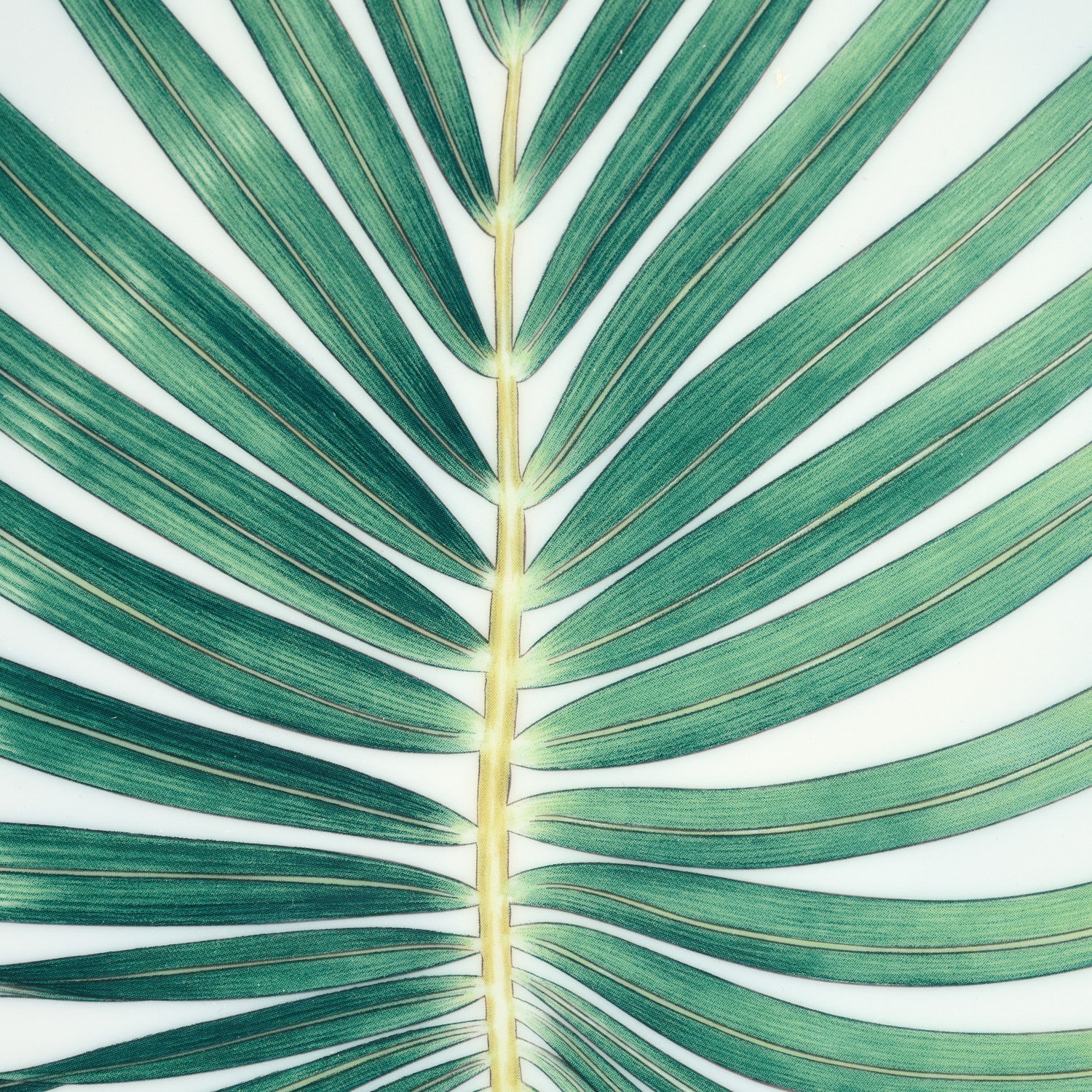 Hermes Porcelain Passifolia Dinner Plate 6 of 7