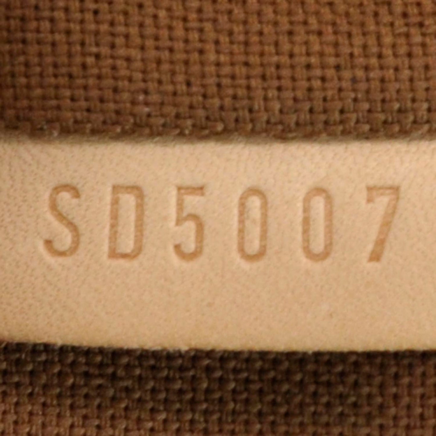 Monogram Cabas Mezzo