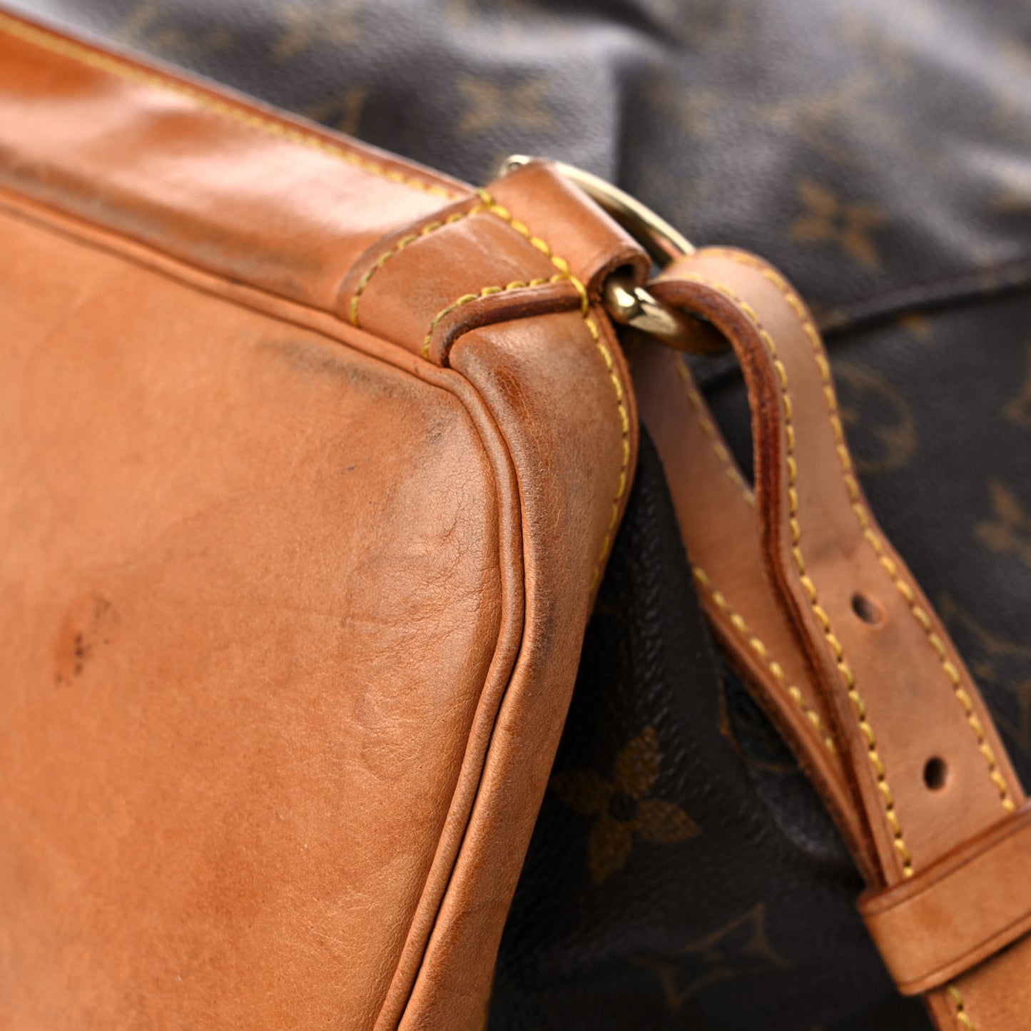 Monogram Montsouris GM Backpack