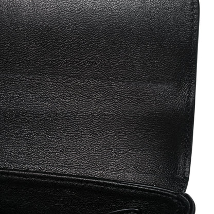 Celine Shiny Calfskin Small Pampille C Bag Black 11 of 12