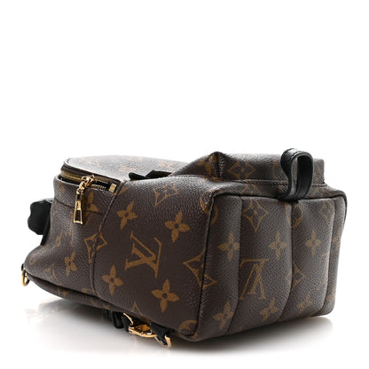 Louis Vuitton Monogram Palm Springs Backpack Mini 4 of 10