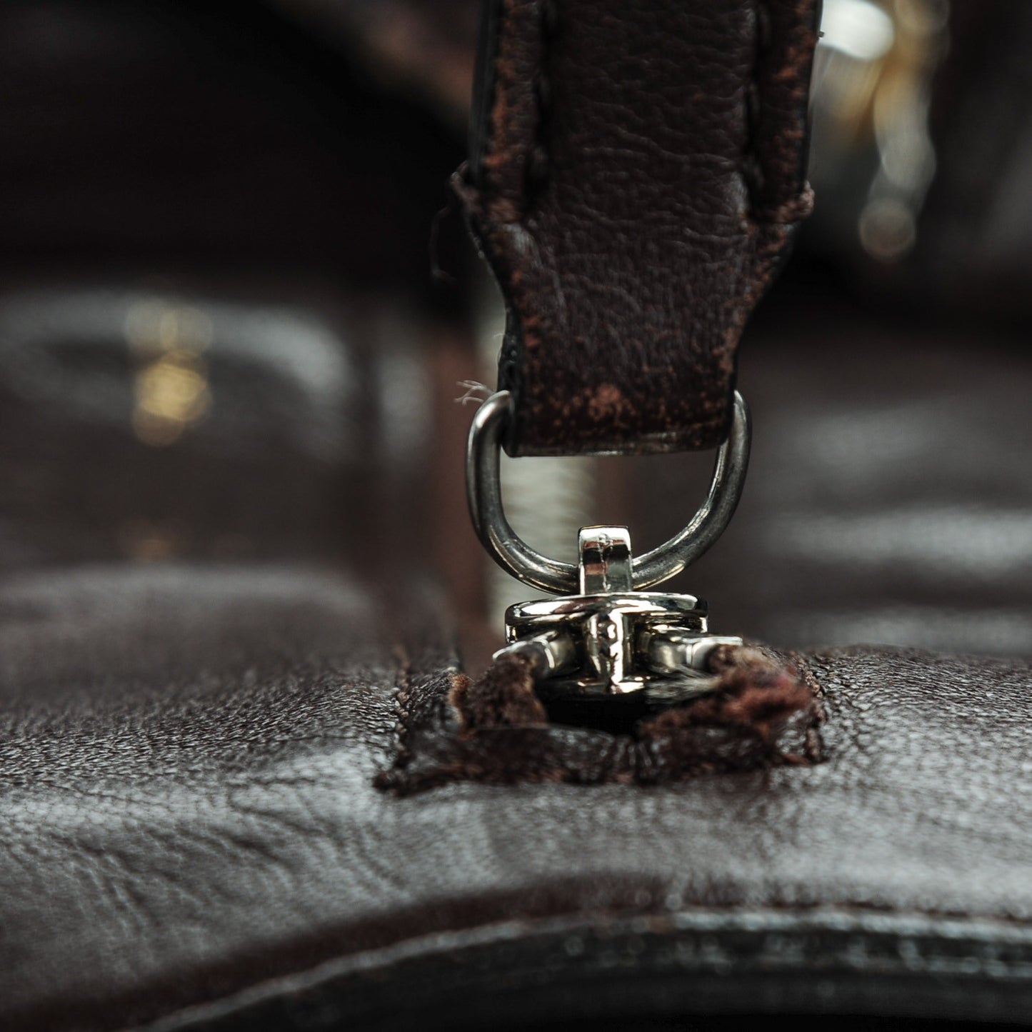 Python Lambskin Horizontal Zipper Gusset Cabas