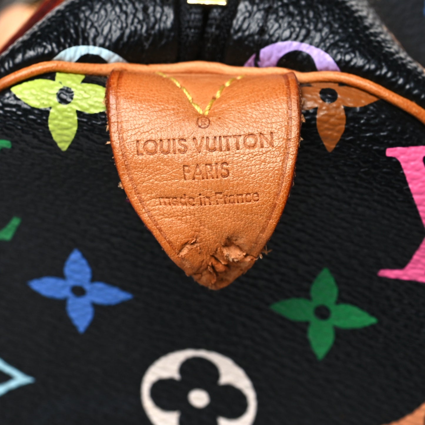 Monogram Multicolor Speedy 30 Black