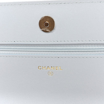 Chanel Lambskin Quilted Chanel 19 Wallet On Chain WOC Light Blue 6 of 11