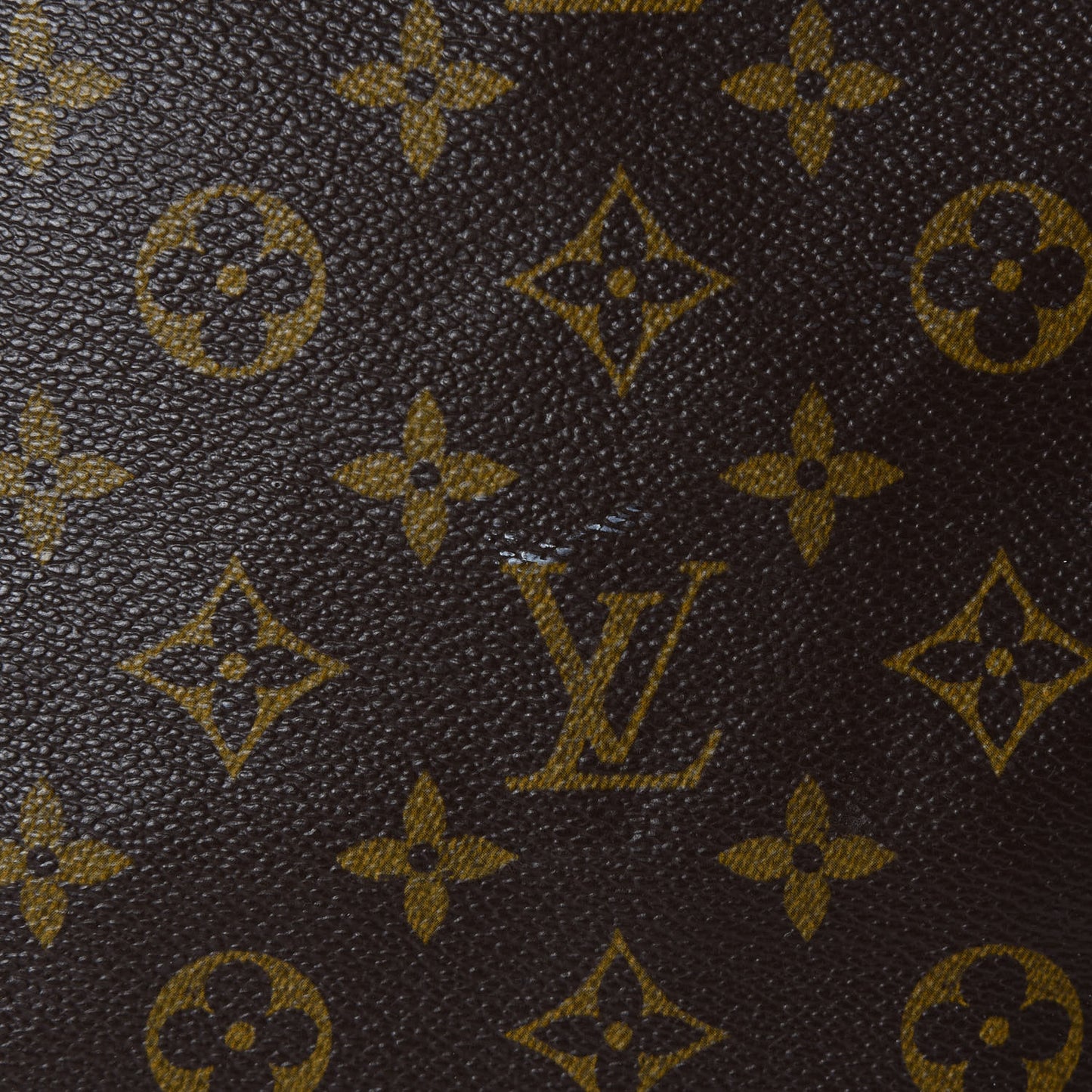 Monogram Cabas Mezzo