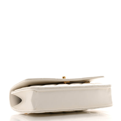 Chanel Shiny Calfskin Quilted Multicolor Top Handle Wallet On Chain WOC White 4 of 15