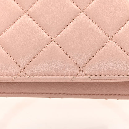 Chanel Sheepskin Quilted Mini Beauty Lock Flap Pink 17 of 18