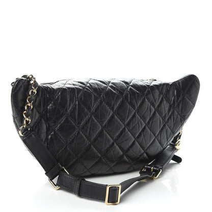 Chanel Aged Calfskin Quilted Waist Bag With Coin Purse Black 3 of 10