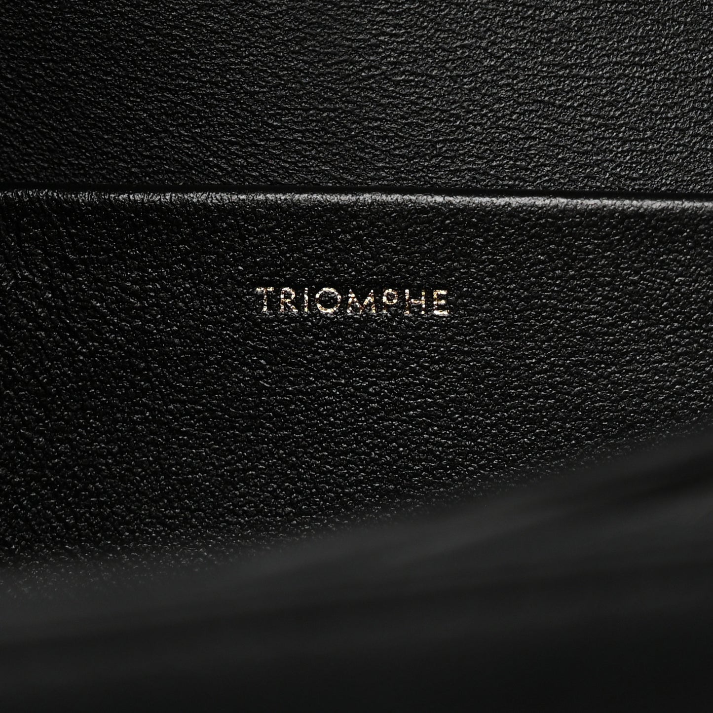 Shiny Calfskin Medium Triomphe Black